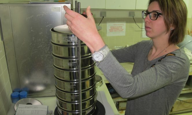 La palourde dans l’ouest Cotentin