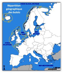 Aire de répartition des bulots en Europe (@SMEL)