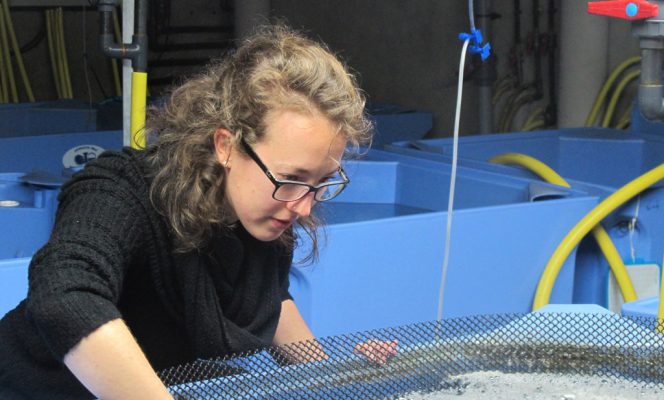 Une nouvelle arrivée : Suzy Moal