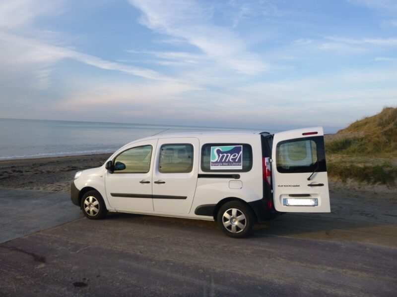 Échouages de phoques autour de Carteret