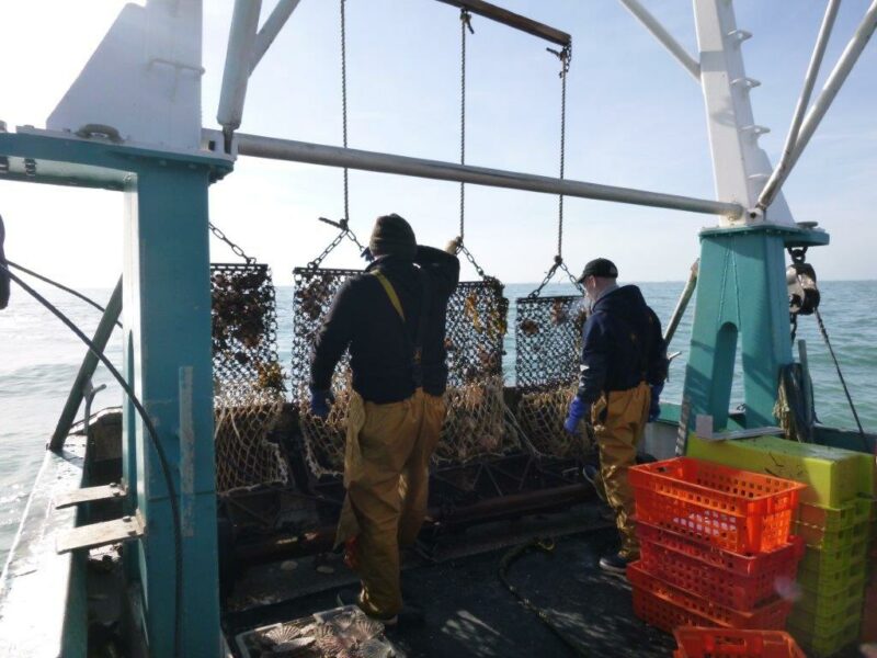 Première réunion du Comité Scientifique et Technique du CENOPAC