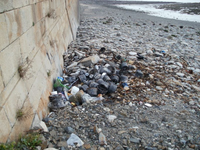 Les déchets de la pêche et de la conchyliculture sont des trésors à valoriser….