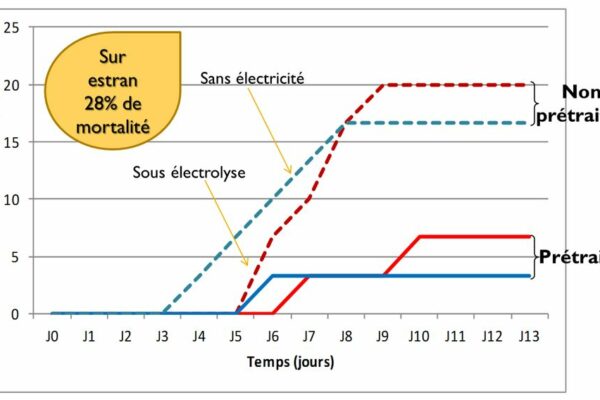 Graphique 3 :  Pourcentage de mortalité à l’issue des injections de virus des huîtres prétraitées et témoin, 2015