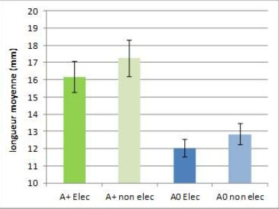 Graphique 4 : Longueur moyenne des huîtres traitées et témoin, 2016