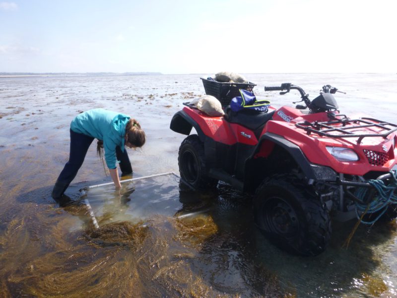 Renouvellement des autorisations de circulation en quad sur l’estran pour le SMEL.