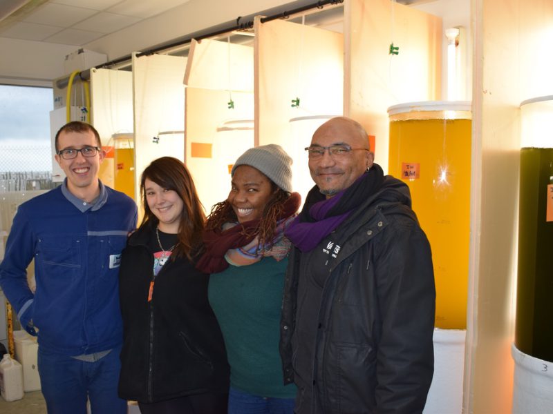 Transfert technologique vers la Jamaïque