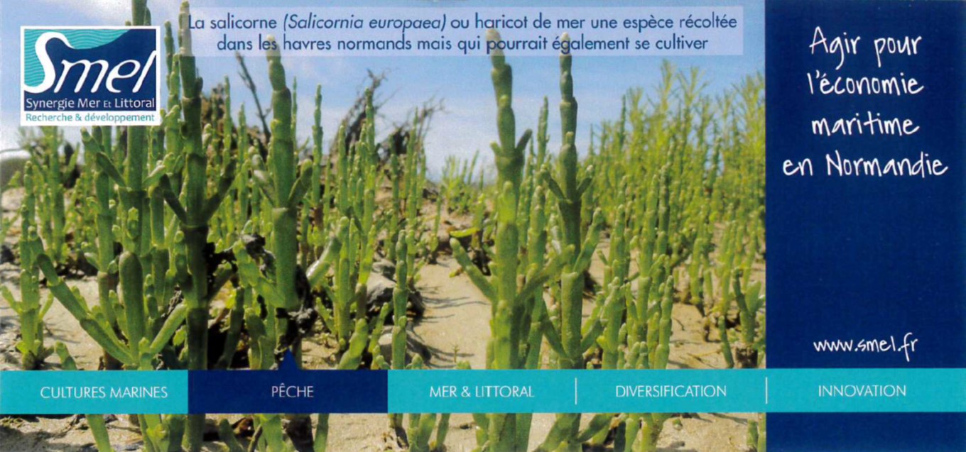 Smel BONNE ANNEE 2022 - SMEL
