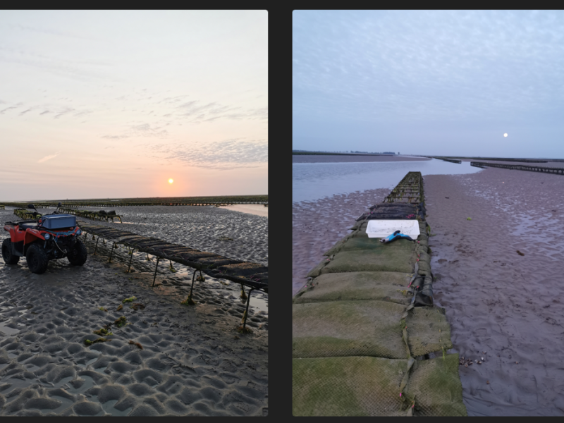 Observatoires ostréicoles normands : Déploiement du réseau SIPEN dans le Calvados