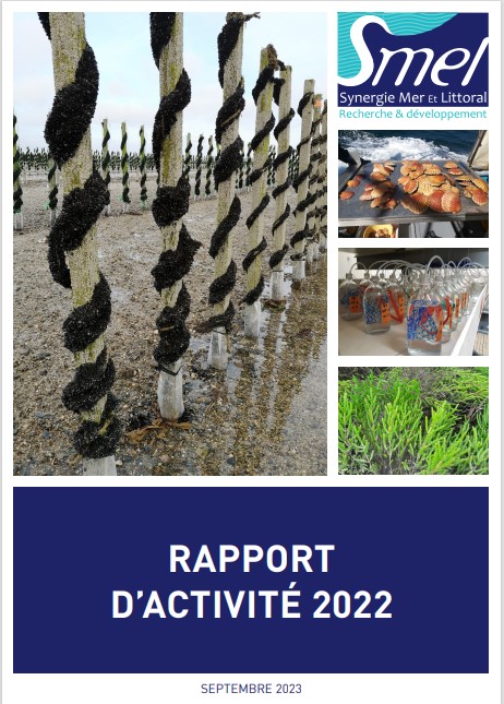 Smel Le rapport d'activités 2022 est en ligne. - SMEL