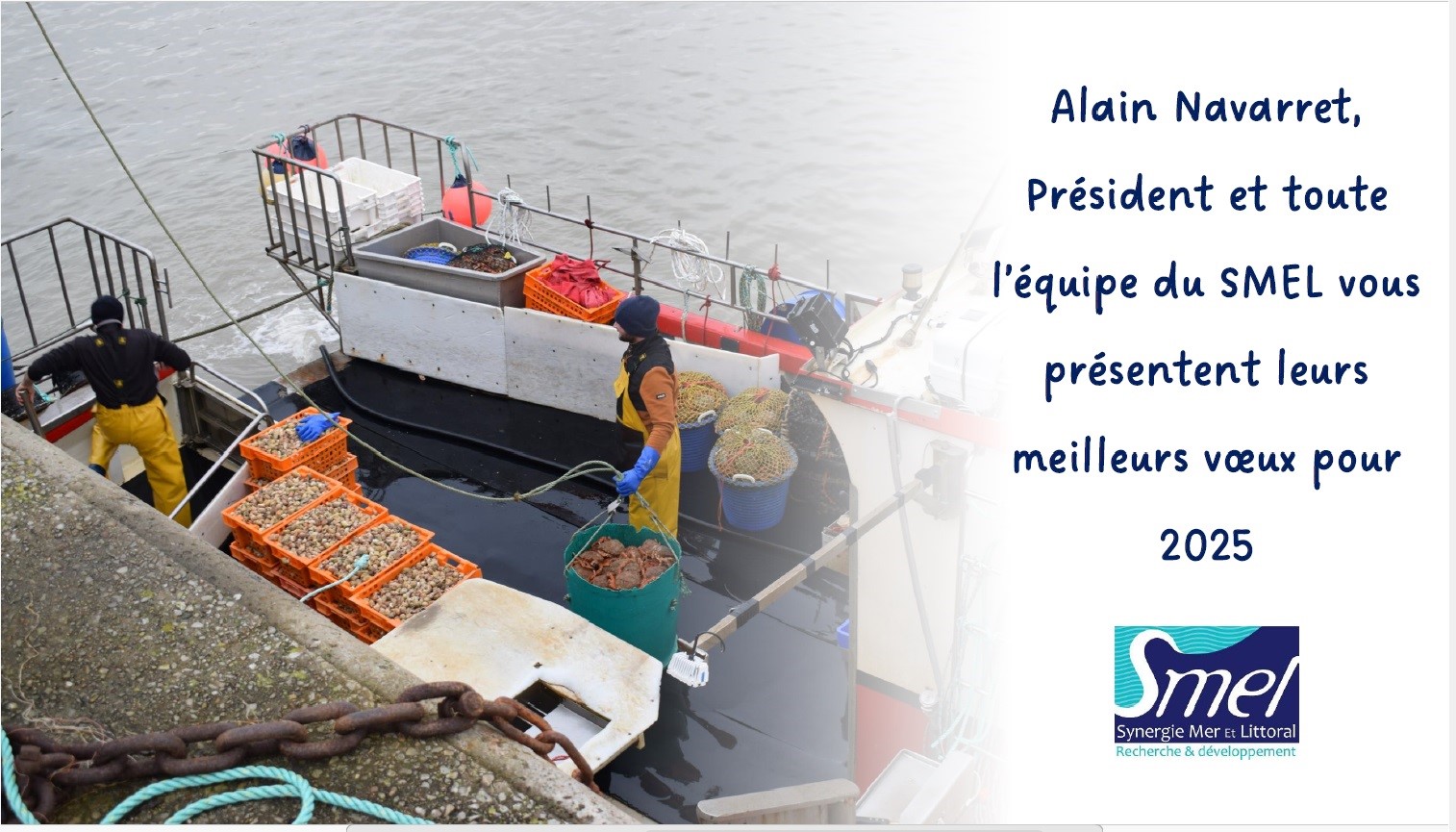 Smel Tous nos vœux pour 2025 - SMEL