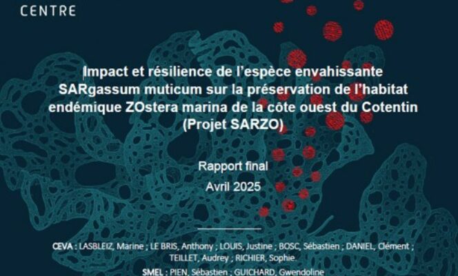 Impact et résilience de l’espèce envahissante SARgassum muticum sur la préservation de l’habitat endémique ZOstera marina de la Côte Ouest du Cotentin : SARZO