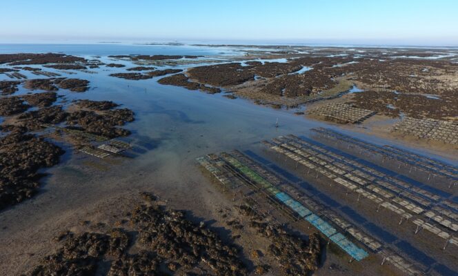 SIPEN : Résultats 2024