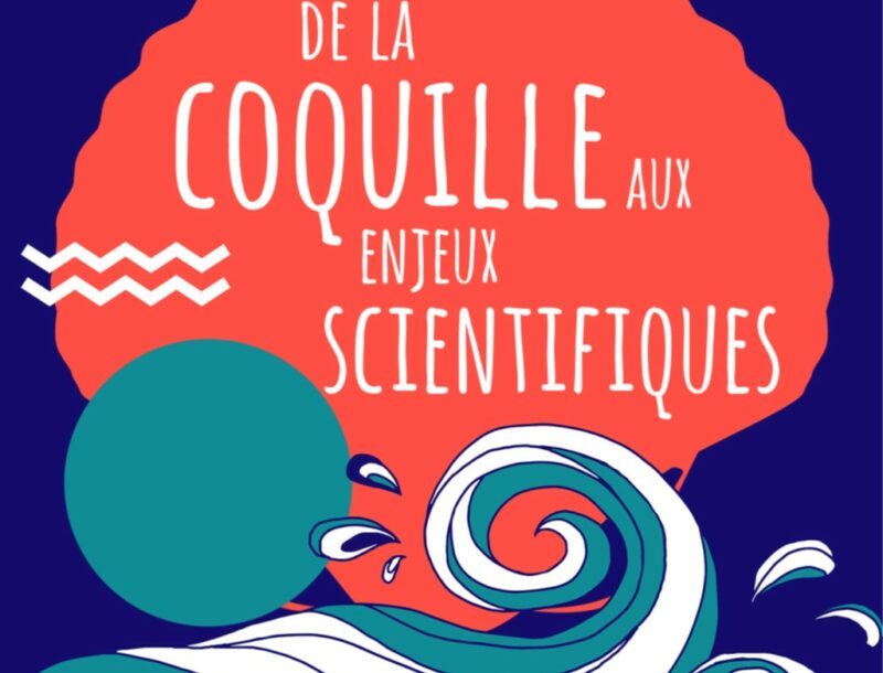 « De la coquille aux enjeux scientifiques »