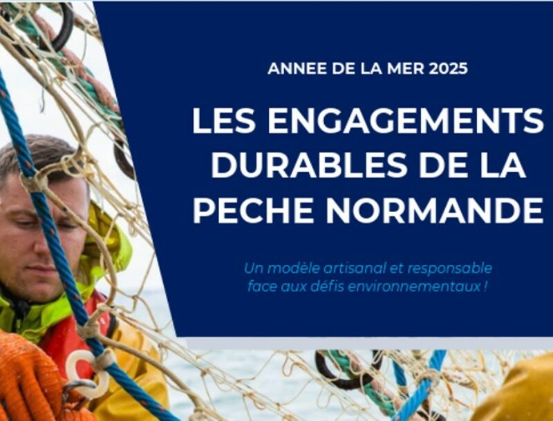 Les engagements durables de la pêche normande