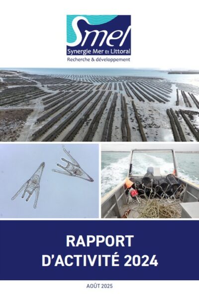 Rapports d’activités 2024