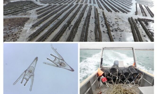 Le rapport d’activités 2024 du SMEL est en ligne.