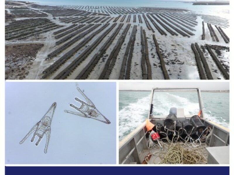 Le rapport d’activités 2024 du SMEL est en ligne.