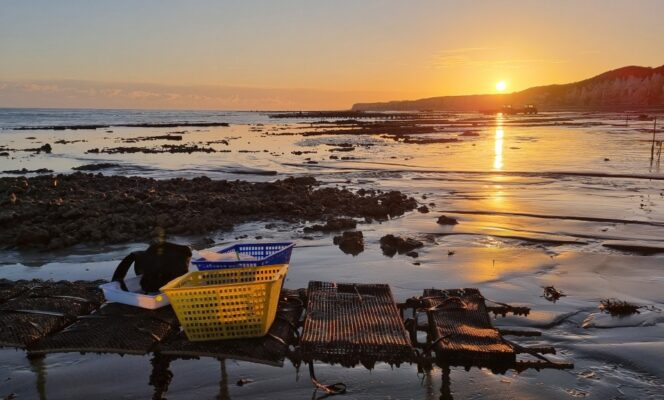 REMONOR : les résultats de fin d’été sont disponibles.