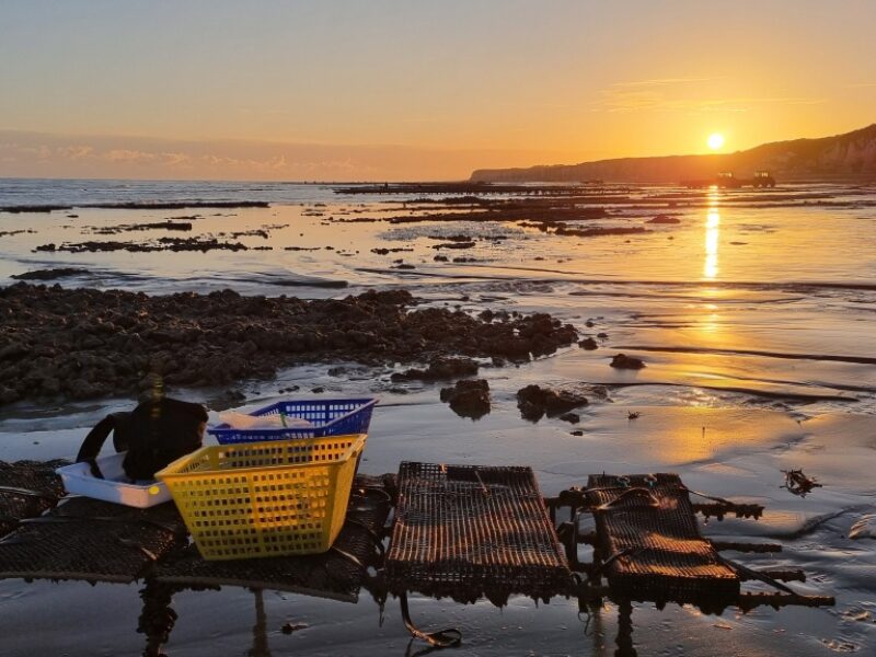 REMONOR : les résultats de fin d’été sont disponibles.