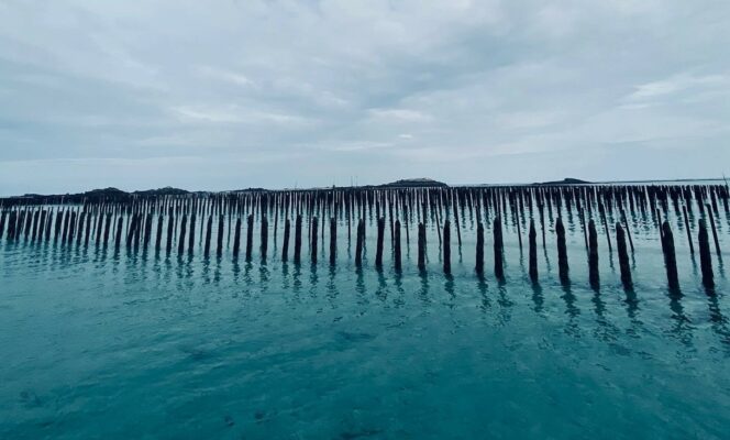 REMOULNOR : Fin du cycle 2024-2025