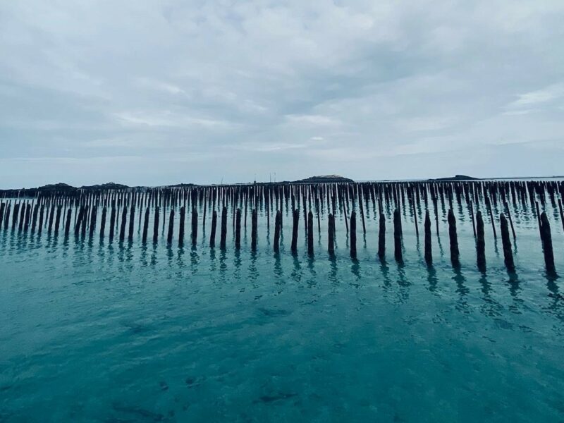 REMOULNOR : Fin du cycle 2024-2025