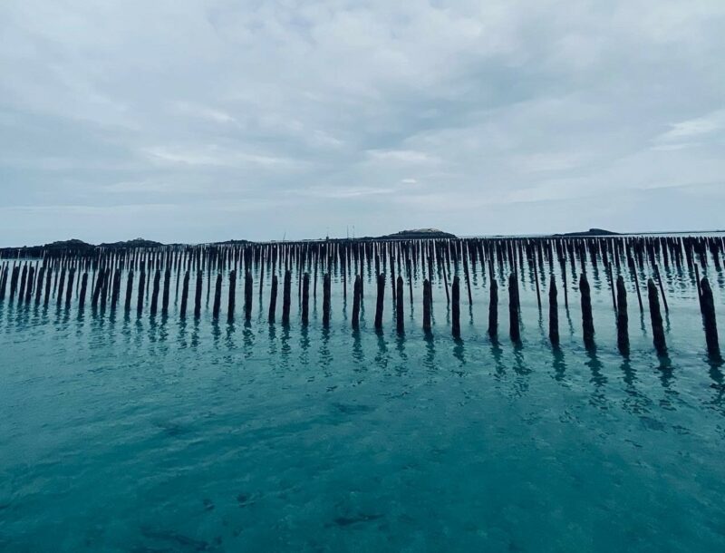 REMOULNOR : Fin du cycle 2024-2025