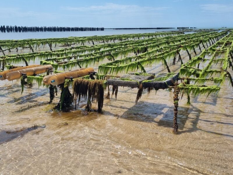 REMONOR : Les résultats de fin d’automne sont disponibles.