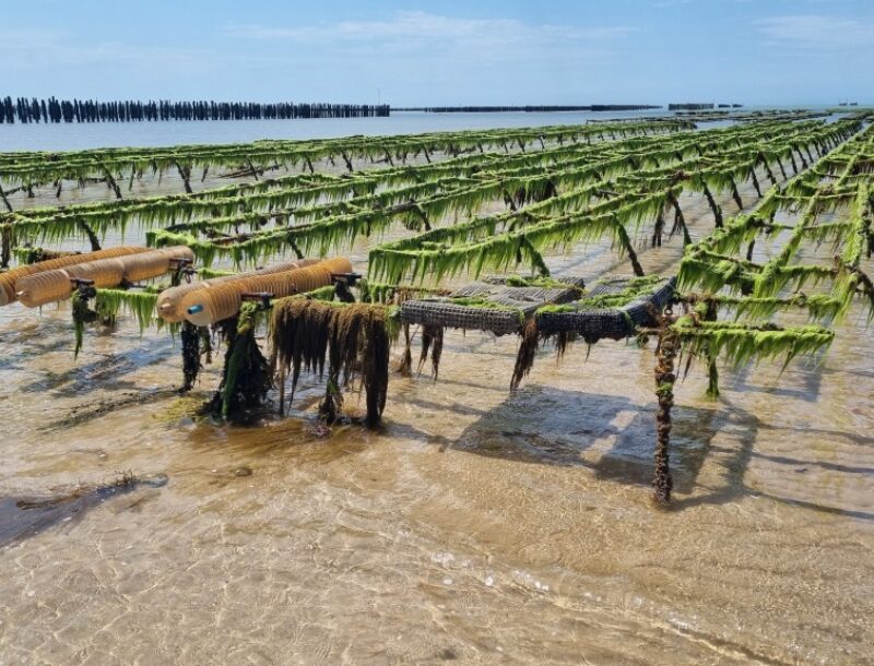 REMONOR : Les résultats de fin d’automne sont disponibles.