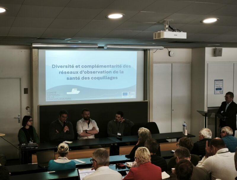 Conseil de filière coquillages 2026