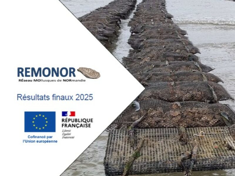 Le rapport REMONOR 2025 est disponible.