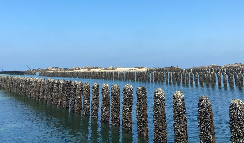 Parcs mytilicoles à Chausey (@SMEL)