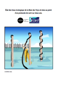 Rapport de stage M1 : État des lieux écologique de la Baie des Veys et mise au point d’un protocole de suivi sur deux ans.