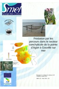 Prédation par les perceurs dansle secteur conchylicole de la pointe d&rsquo;Agon à Gouville sur Mer.