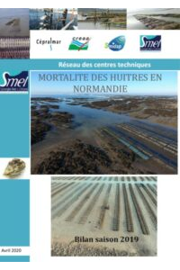 SIPEN : Mortalité des huîtres en Normandie. Bilan 2019