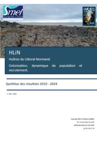HLiN : Huîtres du Littoral Normand. Bilan 2024