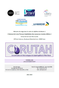 Rapport de stage M2 CarUtah