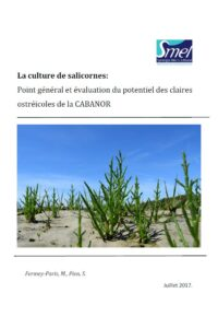 La culture de salicornes : Point général eté valuation du potentiel des claires ostréicoles de la CABANOR