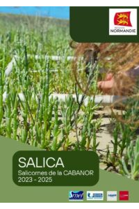 SALICA. Salicornes de la CABANOR. 2023-2025