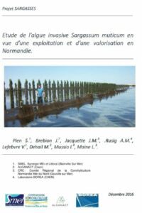 SARGASSES : Etude de l’algue invasive Sargassum muticum en vue d’une exploitation et d’une valorisation en Normandie
