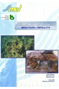 Alimentation, reproduction croissance et élevage du mollusque « Giant Keyhole Limpet » Megathura crenulata.
