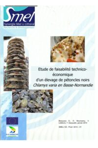 Pétoncles : Etude de faisabilité technico-économique d&rsquo;un élevage de pétoncles noirs Chlamys varia en Basse-Normandie.