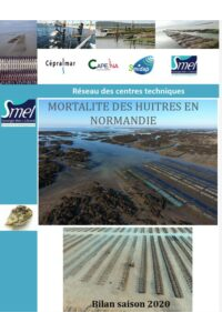 SIPEN – Mortalité des huîtres en Normandie – Bilan 2020