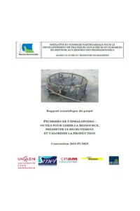 Pecheries de céphalopodes : Outils pour gérer la ressource, préserver le recrutement et valoriser la production.