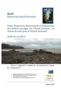 HLiN : Huîtres du Littoral Normand. Ponte, dispersion, recrutement et colonisation des huîtres sauvages sur l&rsquo;ouest Cotentin. Bilan 2013.